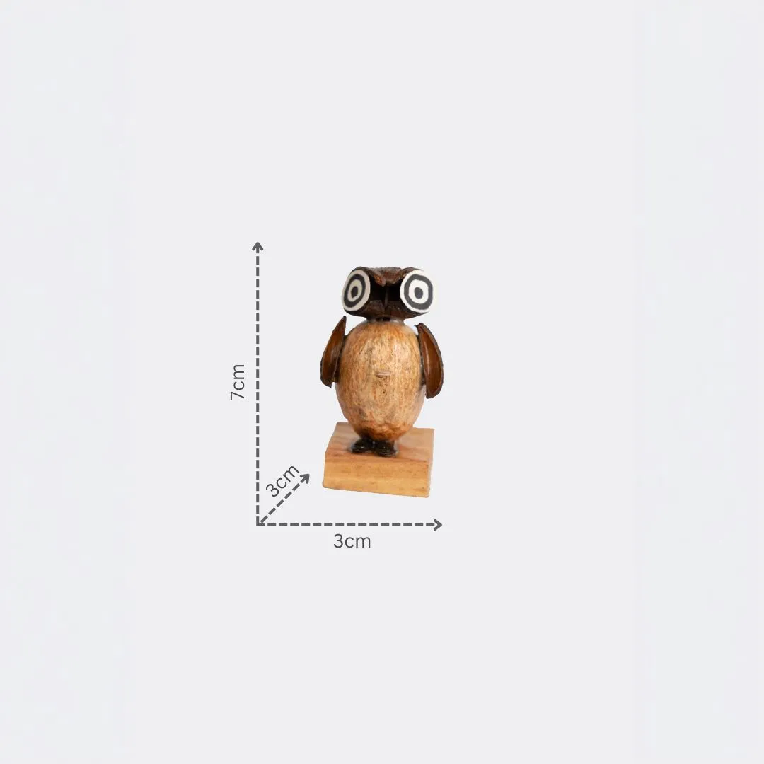 Hand Carved Wooden Owl with dm